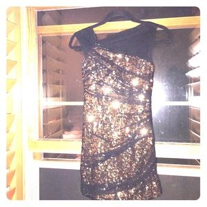 ✨cynthia steefe✨ BEAUTIFUL GLAM DRESS